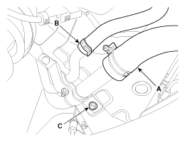 G11955708