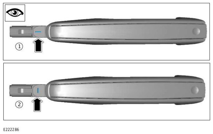 G11965160