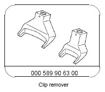 G11969955
