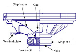 G12023323
