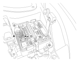 G12053684