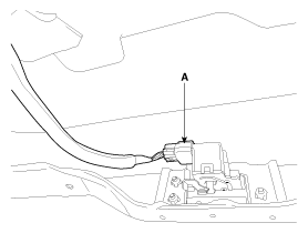 G12056596