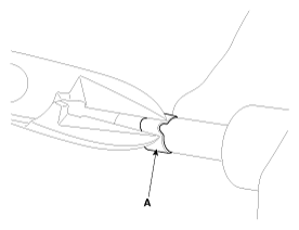 G12060836