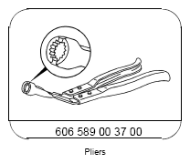 G12079060