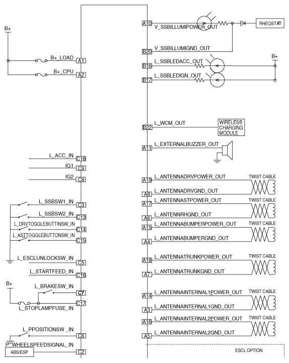 G12113336
