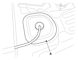 G12124884
