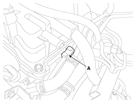 G12145896