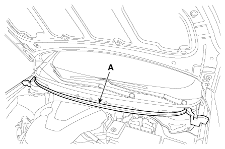 G12163935