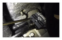 G12173374