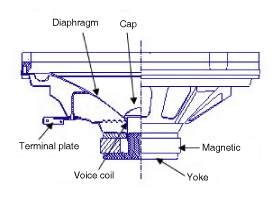 G12173567