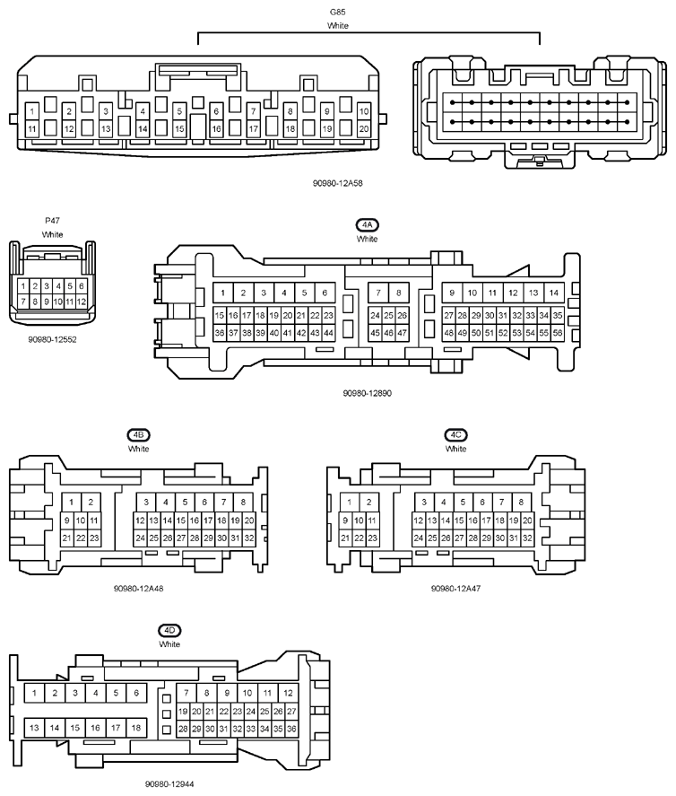 G12204527