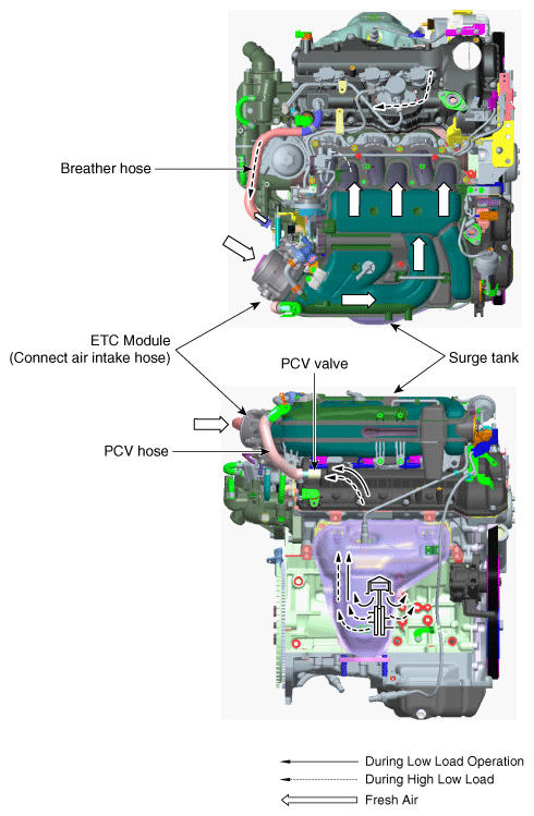 G12264333