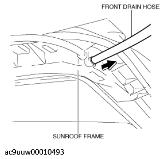 G12266061
