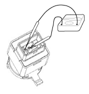 G12274015