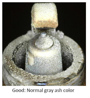 G12297398