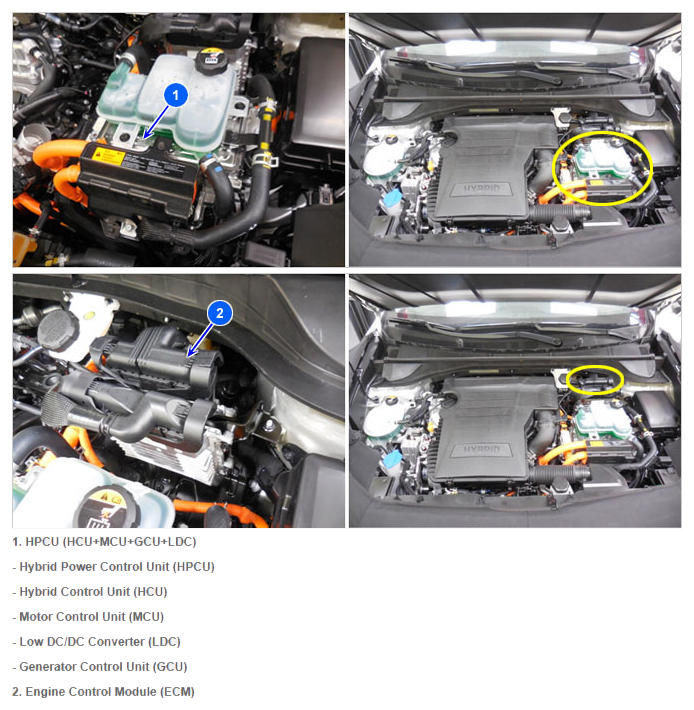 G12330678