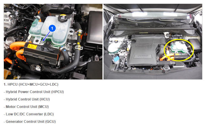 G12331060