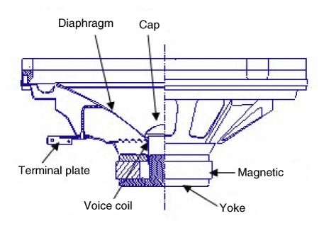 G12351211