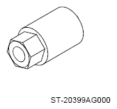 G12513039