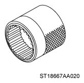 G12516080