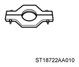 G12516086