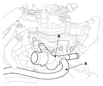 G12575982