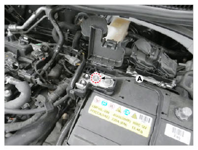 G12576352