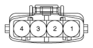 G12596629