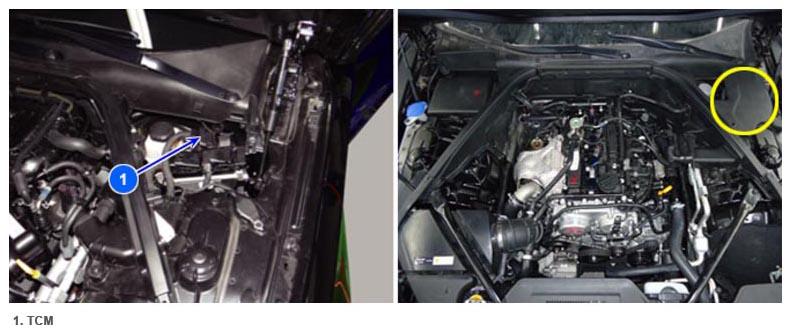 G12653433