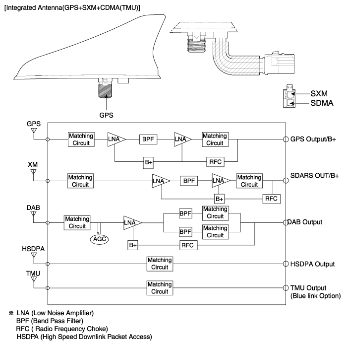 G12658496
