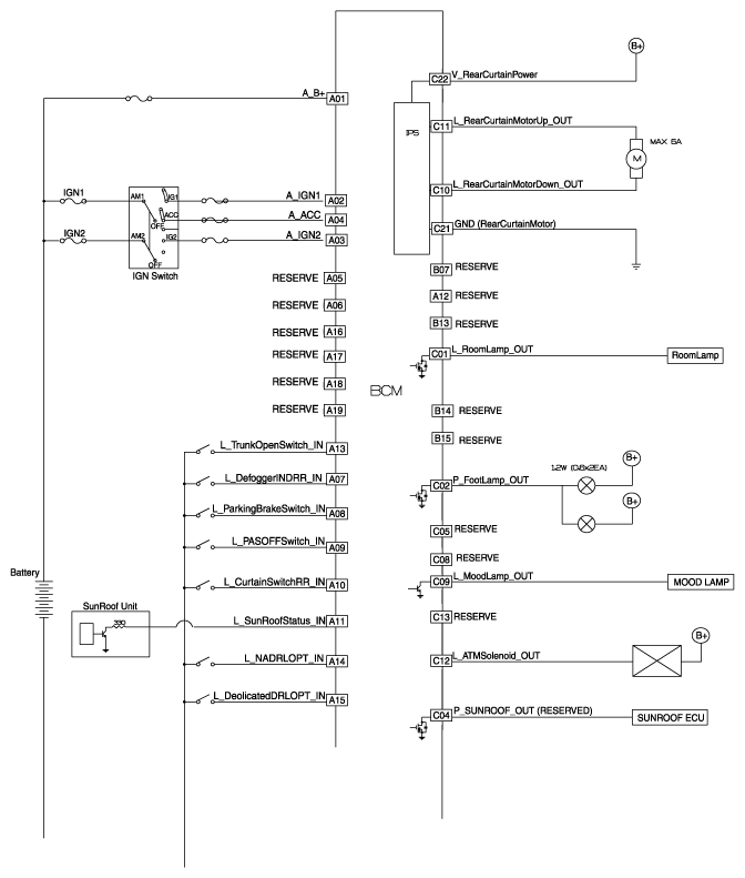 G12658619