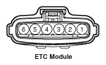 G12663634