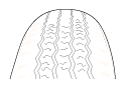 G12716561