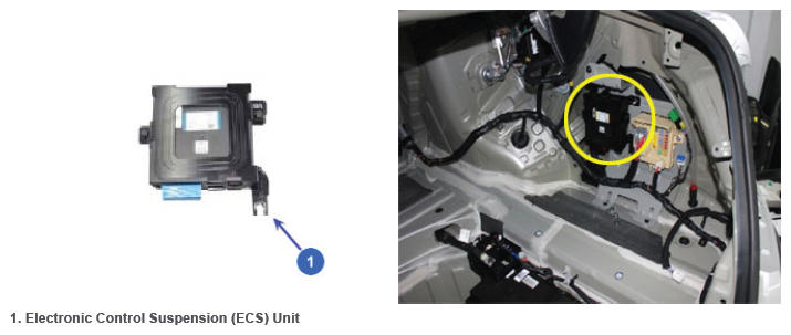G12723273