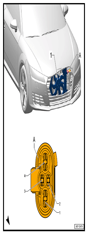 G12778505