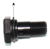 G12793379