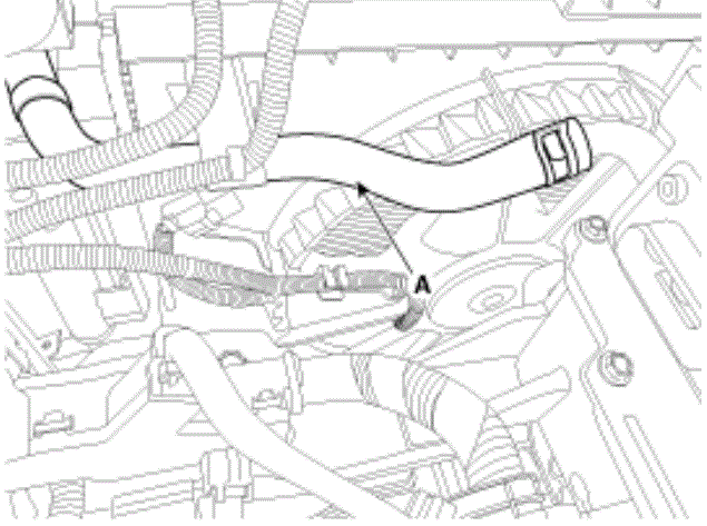G12823687