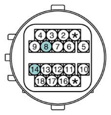 G12922521