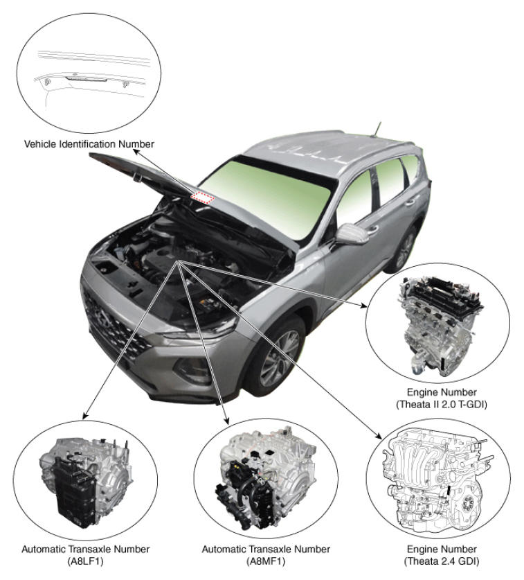 G12991203