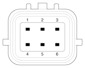 G12993856