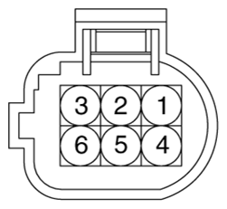 G12998280