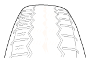G13028587