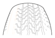 G13028589