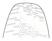 G13028592