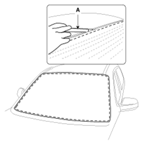 G13029524