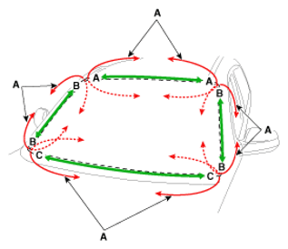 G13029527