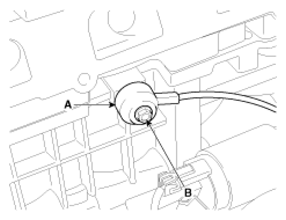 G13039454