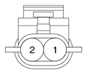 G13044252