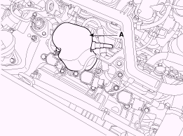 G13044388
