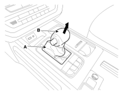 G13044461